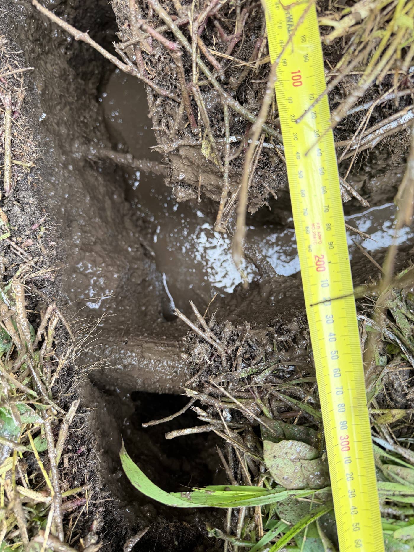 Non-destructive root investigation trench