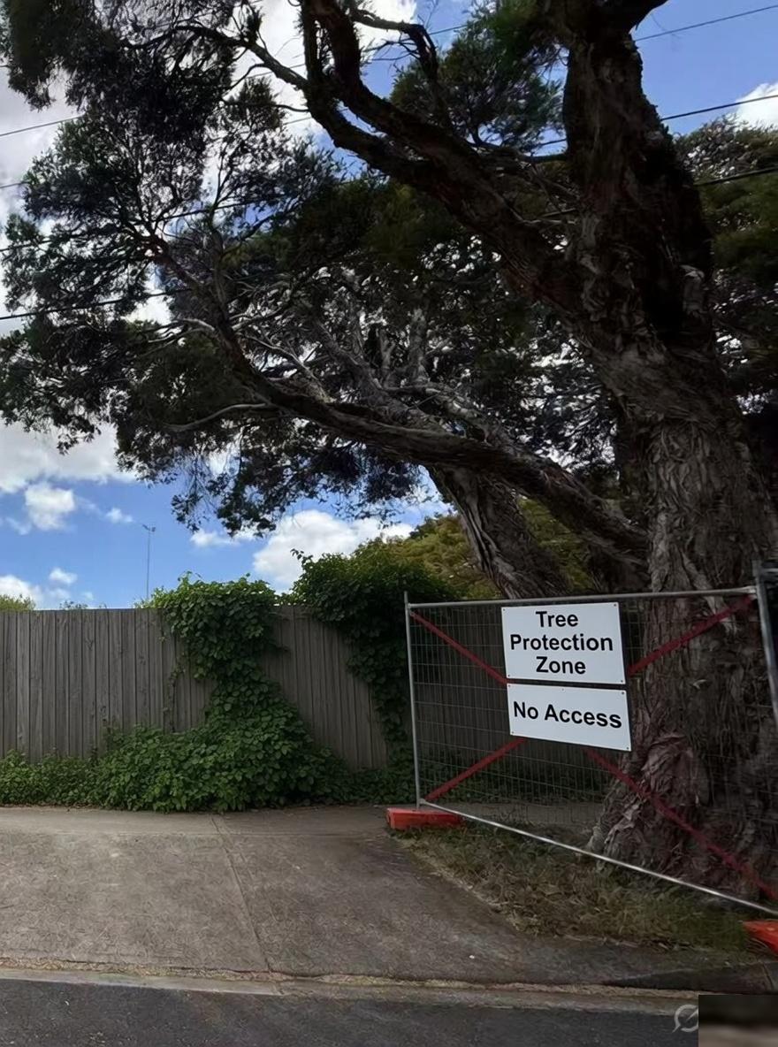 Tree protection fencing around a retained tree